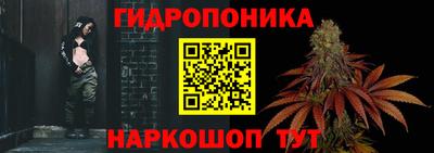 прущие грибы Баксан