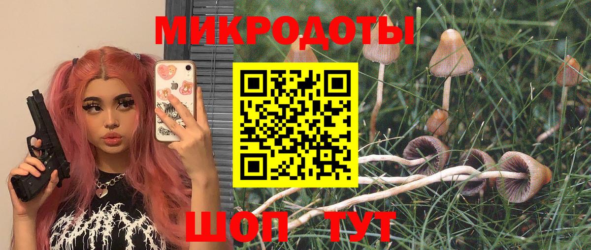 Псилоцибиновые грибы мухоморы  Вход с VPN  где найти   Артём 