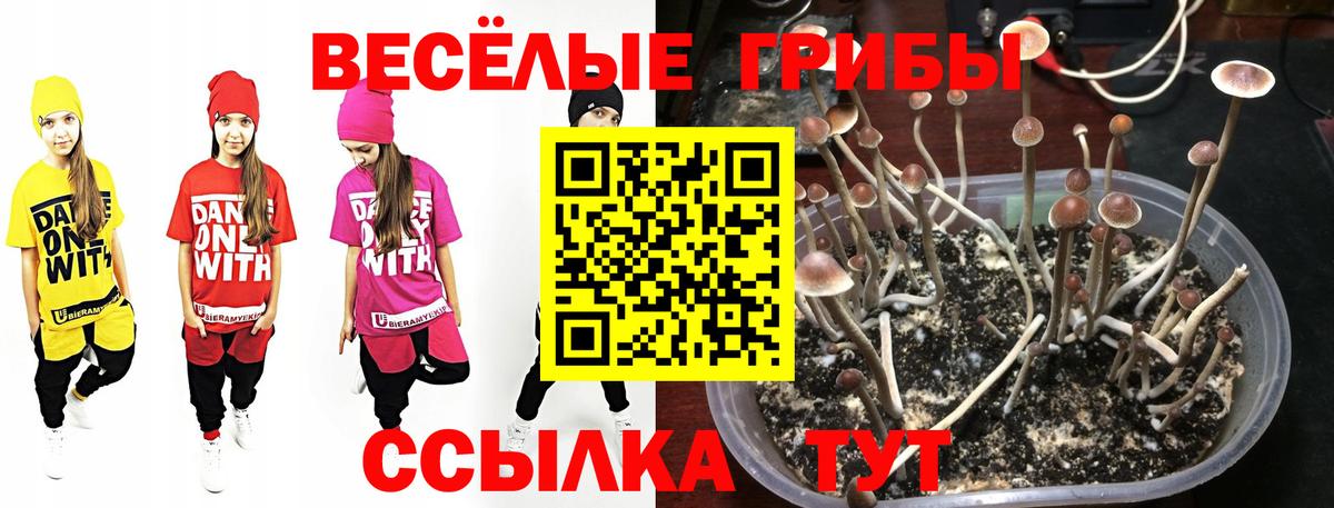 Псилоцибиновые грибы мухоморы Артём